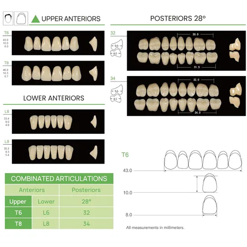 Vista 3 de JMU 28 unids/set Dentales de resina acrílica dentales Dentadura Dientes Sombra A1 T6 resina sintética dientes falsos