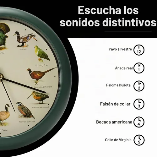 Vista 5 de Mark Feldstein, reloj cantando aves de caza salvaje de América del Norte, 8 pulgadas, verde