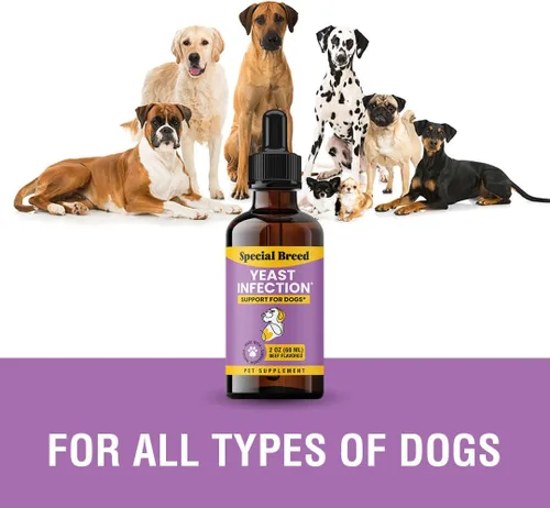 Vista 8 de Alivio natural de la infección por levaduras para perros – Tratamiento de picazón en la piel y los oídos, apoya la alergia y la salud inmunológica