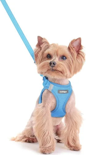 Vista 101 de rabbitgoo Arnés para perro de tamaño pequeño y juego de correa, chaleco Cachorros de manzana