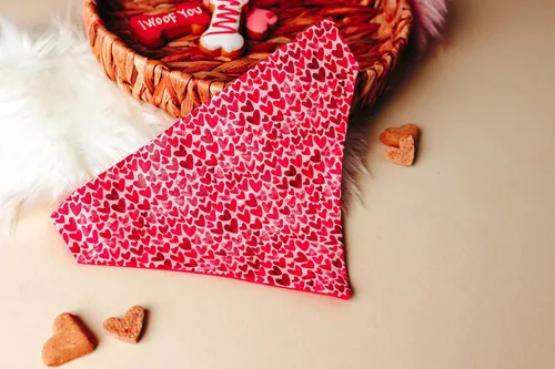 Vista 3 de Bandana de perro con corazones de San Valentín que se desliza en el tamaño de su collar existente (XS)