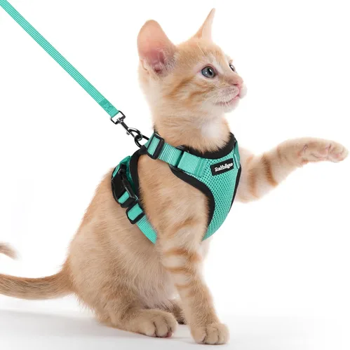 Vista 82 de rabbitgoo Cat Harness and Leash Set, Escape Proof Vest, XXS, Berry Pounce Soft Breathable Mesh, No-choke Adjustable Fit, Snap Buckles, Sturdy