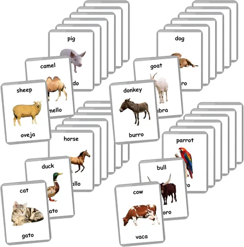 Vista 5 de Tarjetas didácticas bilingües en español inglés Tarjetas flash laminadas Elige tu conjunto (objetos del alfabeto)