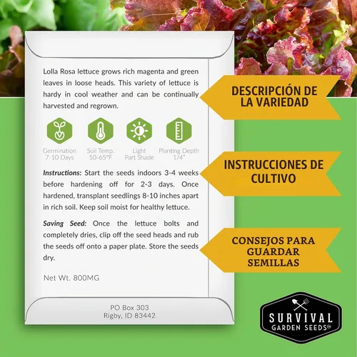 Vista 2 de Semillas de lechuga para plantar Colección de 10 lechugas tradicionales