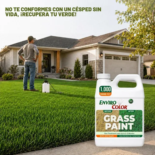 Vista 7 de 1,000 pies cuadrados. ft. 4Evergreen pintura de césped y pasto