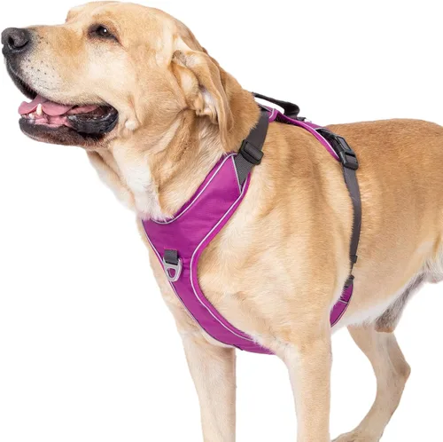 Vista 11 de Arnés para perro sin tirones con 2 clips para correa, chaleco reflectante, ajustable y acolchado, clips delanteros y traseros fáciles de caminar