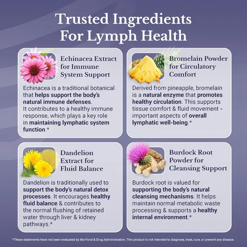 Vista 4 de Lymph MD - Suplemento de drenaje linfático - con bromelina, equinácea, raíz de bardana, diente de león, rutina, algas y más - Soporte del sistema