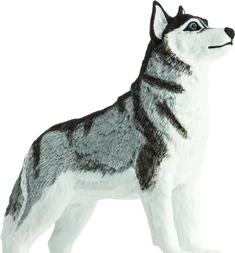 Vista 4 de Safari Ltd. Figura de Husky Siberiano – Figura detallada de plástico de 3.25 pulgadas – Divertido juguete educativo para niños, niñas y niños a