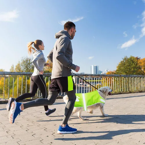 Vista 5 de Chaleco reflectante para perro, 2 piezas, ajustable, chaleco de seguridad para perros, ropa de alta visibilidad para caza, actividades al aire