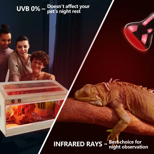 Vista 3 de LUCKY HERP Lámpara de Calor Infrarroja 50W Paquete de 2, Bombillas de Luz de Punto de Sol para Reptiles y Anfibios, Bombillas de Lámpara de Calor