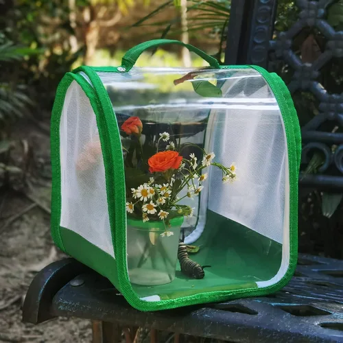 Vista 7 de Pequeño hábitat de mariposa, jaula de malla de insectos, recinto de oruga, jaula de criatura, terrario de insectos, asa de transporte portátil fácil