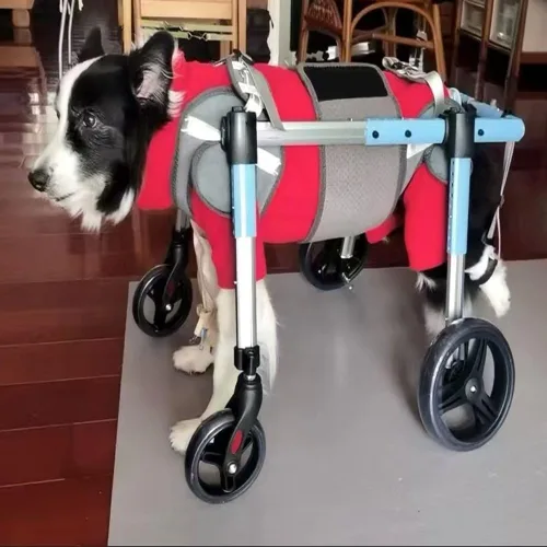 Vista 8 de Large Dog Wheelchair for Back Legs, Lightweight 4 Wheels Pet Wheelchair- All Aluminum Frame，Dog Mobility Aid Cart with Rear Harness Groove for Big