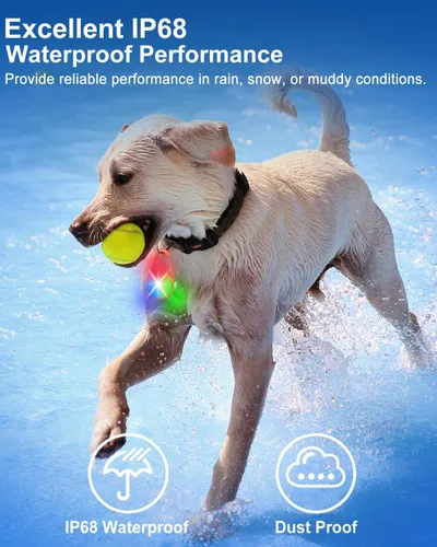 Vista 4 de Luz para collar de perro, 4 modos de luces para perro para caminar por la noche, luz LED recargable para collar de mascota para clip nocturno