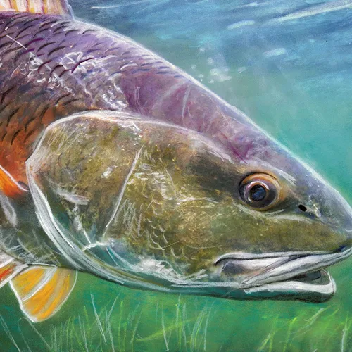 Vista 3 de Redfish and Bonefish Prints Set of Two Hand Signed Fishing Artworks by Jack Tarpon Fishing Gift for Him or Her Saltwater Nature Fisherman Decor
