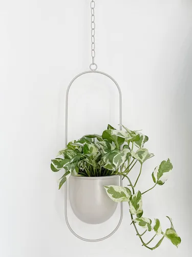 Vista 8 de RISEON Colgador bohemio de metal negro para plantas, maceta colgante de pared y techo de metal, maceta moderna, soporte para macetas de mediados