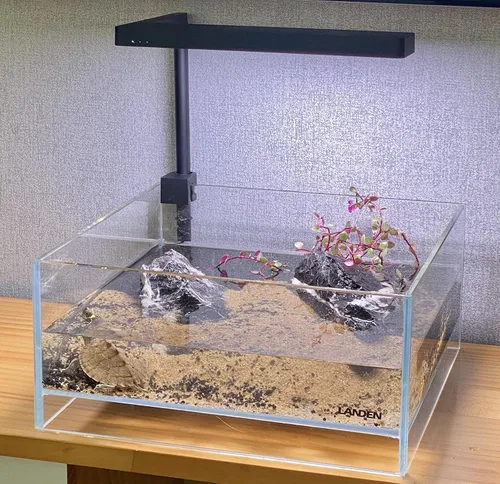 Vista 7 de LANDEN - Tanque de aire de vidrio para acuario multi-escena, tanque poco profundo de 1.6 galones sin montura de bajo contenido de hierro, 10.63