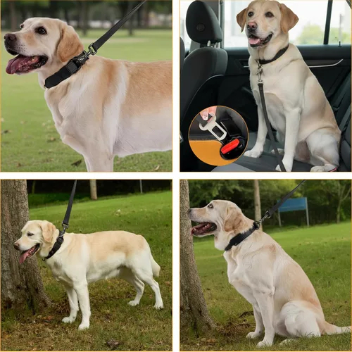 Vista 6 de Annchwool Juego de collar ajustable para perro y correa de 5 pies con hebilla de metal resistente, cómodo forro reflectante y doble asa para perros