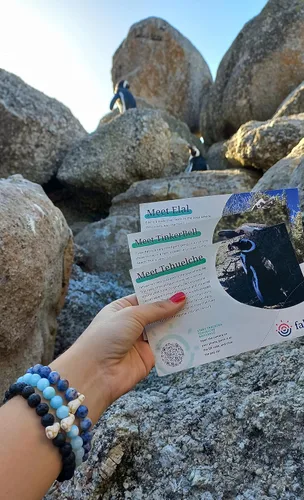 Vista 7 de Fahlo Pulsera de seguimiento de pingüinos elástica compatible con la Sociedad Global de Pingüinos talla única para hombres y mujeres Piedra Sin gemas