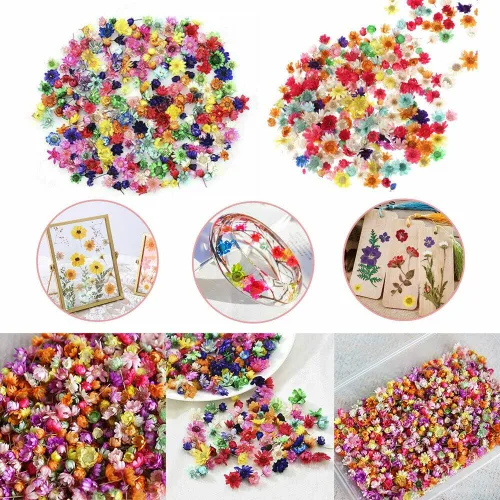 Vista 3 de 710pcs DIY flores secas dispersas aromaterapia vela colgante de resina epoxi