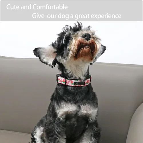 Vista 5 de Aring Pet Collar de algodón, ligero y ajustable, con hebilla de liberación rápida, para perros pequeños, medianos y grandes, para cachorros, M