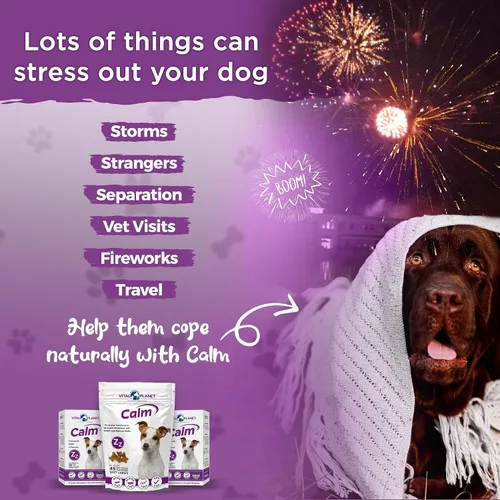 Vista 6 de Vital Planet - Masticables suaves y calmantes para perros, promueve la calma en situaciones estresantes con GABA, calostro, valeriana, cúrcuma