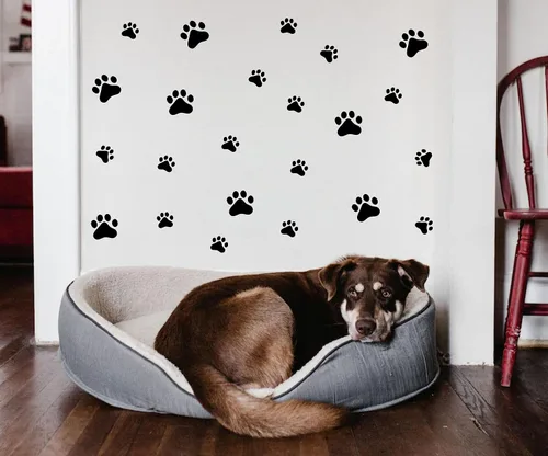 Vista 10 de Calcomanías de pared con diseño de pata de perro, juguete de perros, calcomanías de pared de vinilo extraíbles, calcomanías de huellas de perros