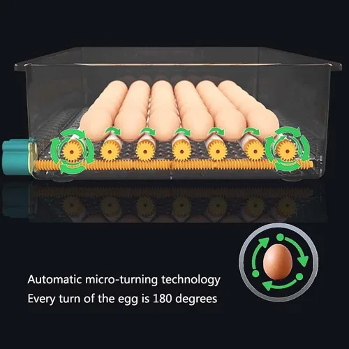 Vista 3 de Incubadora automática de pollo para criar huevos 98/120 Incubadora automática de huevos Incubadora de huevos de ganso pájaro Incubadora