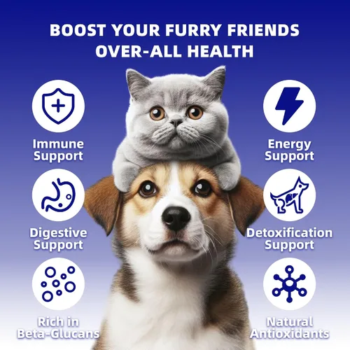 Vista 3 de Extracto de hongos en polvo para perros y gatos – Complejo de 10 hongos suplemento para mascotas para inmunidad, salud celular, cognición