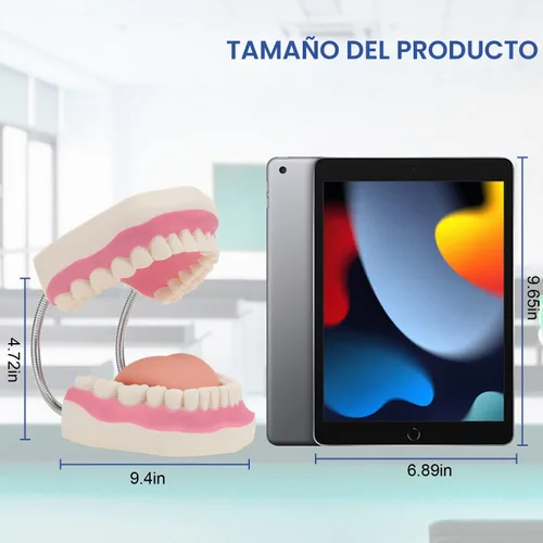 Vista 3 de Modelo de demostración dental de dientes gigantes con cepillo de dientes, modelo de boca de tamaño estándar ampliado 6 veces, modelo de enseñanza