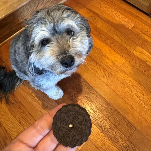 Vista 5 de Exclusively Dog Galletas Sandwich Cremes S'mores Flavor Dog Treats para perros medianos y grandes, naturales y fabricadas en los Estados Unidos, 8