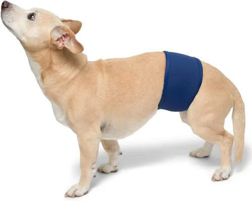 Vista 5 de Bandas lavables y reutilizables de vientre para perro macho de PlayaPup Rojo tiburón