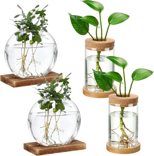 Vista 8 de Layhit 4 piezas de estaciones de propagación de plantas, jarrones de vidrio con tapa de madera y soporte de bambú para plantas hidropónicas, regalos