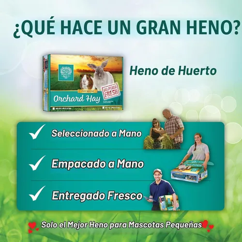 Vista 6 de Small Pet Select Orchard Grass - Alimento para mascotas para conejos