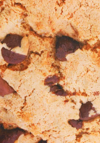 Vista 4 de Disfraz de Galleta con Chispas de Chocolate para Adultos Multicolor