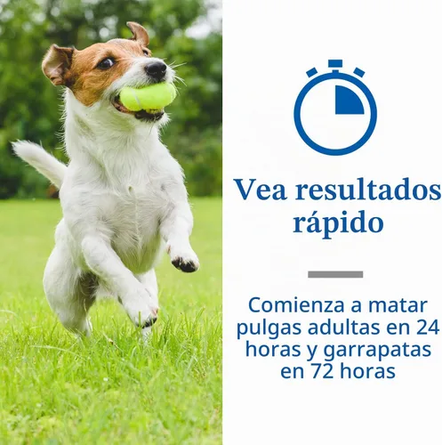 Vista 4 de PetArmor Perros tópicos de pulgas y garrapatas de 5 a 22 libras, Fipronil, 6 meses