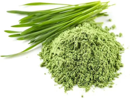 Vista 4 de HERBAL HILLS Wheatgrass Powder 16 Oz (454 g) Hierba de trigo verde Suplemento a base de hierbas en polvo