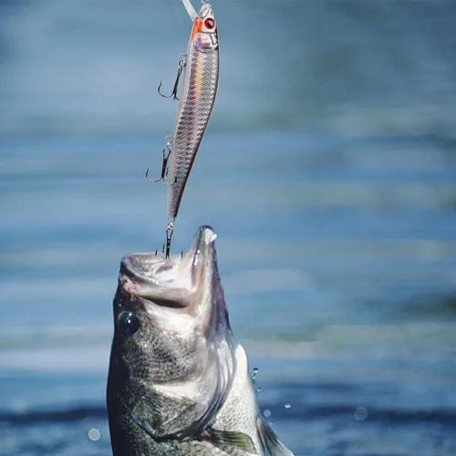 Vista 6 de Kit de señuelo de pesca de surf Sriper Señuelo de agua salada Minnow Señuelos Jertbait Topwater Popper Plugs Buceo Cebos Duros Costa Rica Ocen Pesca