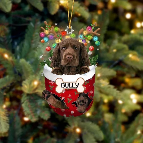 Vista 45 de IZI POD Affenpinscher Adorno de Navidad personalizado para perro, adorno de bolsillo de nieve para perro para árbol de Navidad, adorno acrílico