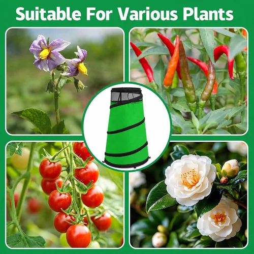 Vista 5 de Conos de rosas emergentes para protección de invierno, cubierta protectora verde (green-1pcs)