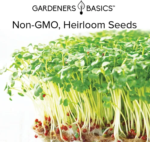 Vista 7 de Gardeners Basics, Kit de semillas de brócoli para germinación y microverdes sin OMG, bolsa de brotes resellables a granel de 1 libra