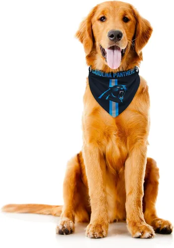 Vista 24 de Bandana de la NFL Team Dog, Rojo, S Arizona Cardinals