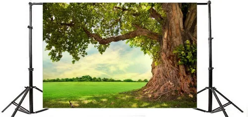 Vista 3 de Yeele Telón de fondo de primavera de 12 x 8 pies para fotografía, parque de primavera, prado, fondo de árbol viejo, picnic al aire libre, paisajes