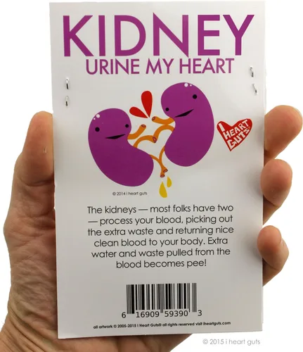 Vista 5 de I Heart Guts Comparte tus riñones pegatinas – Paquete de 15 calcomanías de vinilo para la conciencia de la enfermedad renal, guerreros