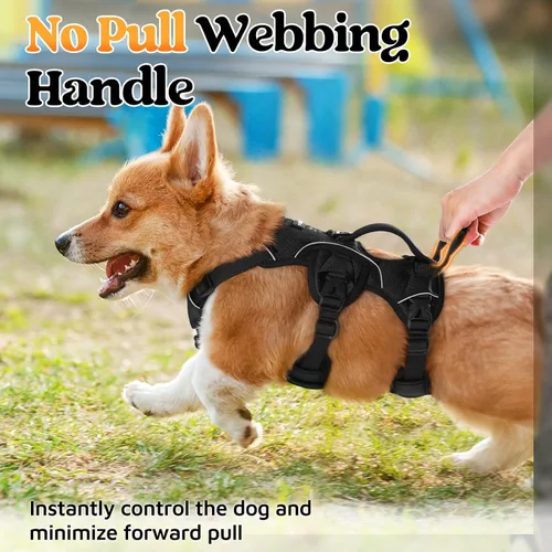 Vista 4 de rabbitgoo - Arnés para perros a prueba de fugas, arnés para mascotas acolchado y suave de cuerpo completo, arnés reflectante ajustable sin tirones
