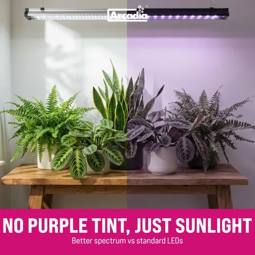 Vista 2 de Barra LED Arcadia Jungle Dawn - 34W