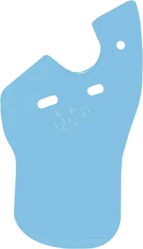 Vista 21 de Markwort C-FLAP