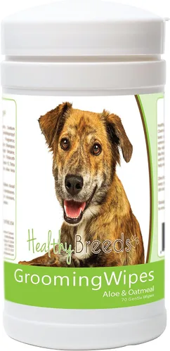 Vista 77 de Healthy Breeds Toallitas multiusos para aseo y desodorización para perros Affenpinscher – Más de 200 razas – Limpia las almohadillas para las patas