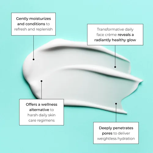 Vista 3 de Malibu C Sensitiv Vital Crema hidratante facial – Hidratante no comedogénico para pieles mixtas – Fórmula ligera enriquecida con Pro vitamina B5