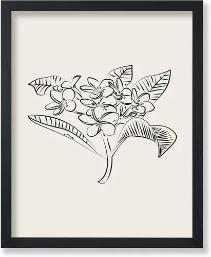 Vista 103 de Poster Master Póster Plumeria - Impresión de flores retro, arte floral, arte de flores tropicales, arte de línea - Arte de boceto - Arte abstracto