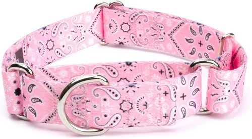 Vista 19 de Country Brook Petz - Collar de perro Albuquerque Martingale - Colección Country and Western con diseños rústicos (1/2 pulgada, 2XS)